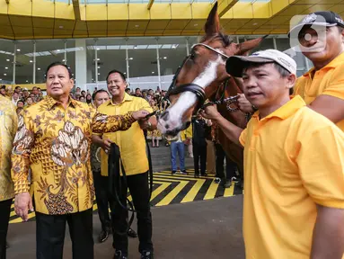 Bakal Calon Presiden yang juga Ketua Umum Partai Gerindra Prabowo Subianto (kedua kiri) didampingi Ketua Umum Partai Golkar Airlangga Hartarto memperlihatkan kuda berwarna cokelat saat menyambangi gedung DPP Partai Golkar di Jakarta, Kamis (31/8/2023). (Liputan6.com/Faizal Fanani)