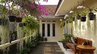 15 Tanaman Gantung untuk Teras Sempit yang Awet Meski Jarang Disiram, Percantik Halaman Rumah
