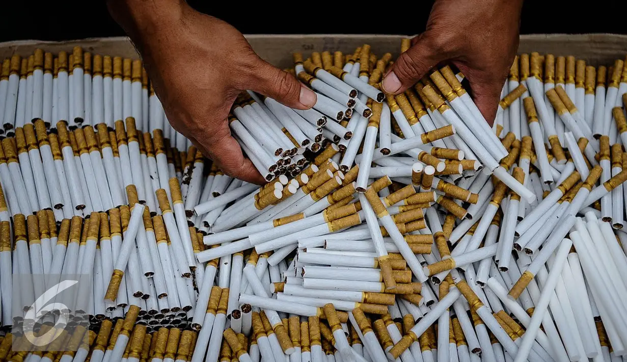 Sejumlah batang rokok ilegal diperlihatkan petugas saat rilis rokok ilegal di Kantor Direktorat Jenderal Bea Cukai, Jakarta, Jumat (30/9). Rokok ilegal ini diproduksi oleh mesin dengan total produksi 1500 batang per menit. (Liputan6.com/Faizal Fanani)