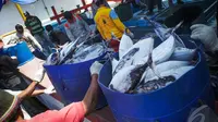 Ikan-ikan segar ini diprediksi harganya akan melonjak karena kelangkaan BBM, Jakarta, Kamis (28/8/2014) (Liputan6.com/Faizal Fanani)