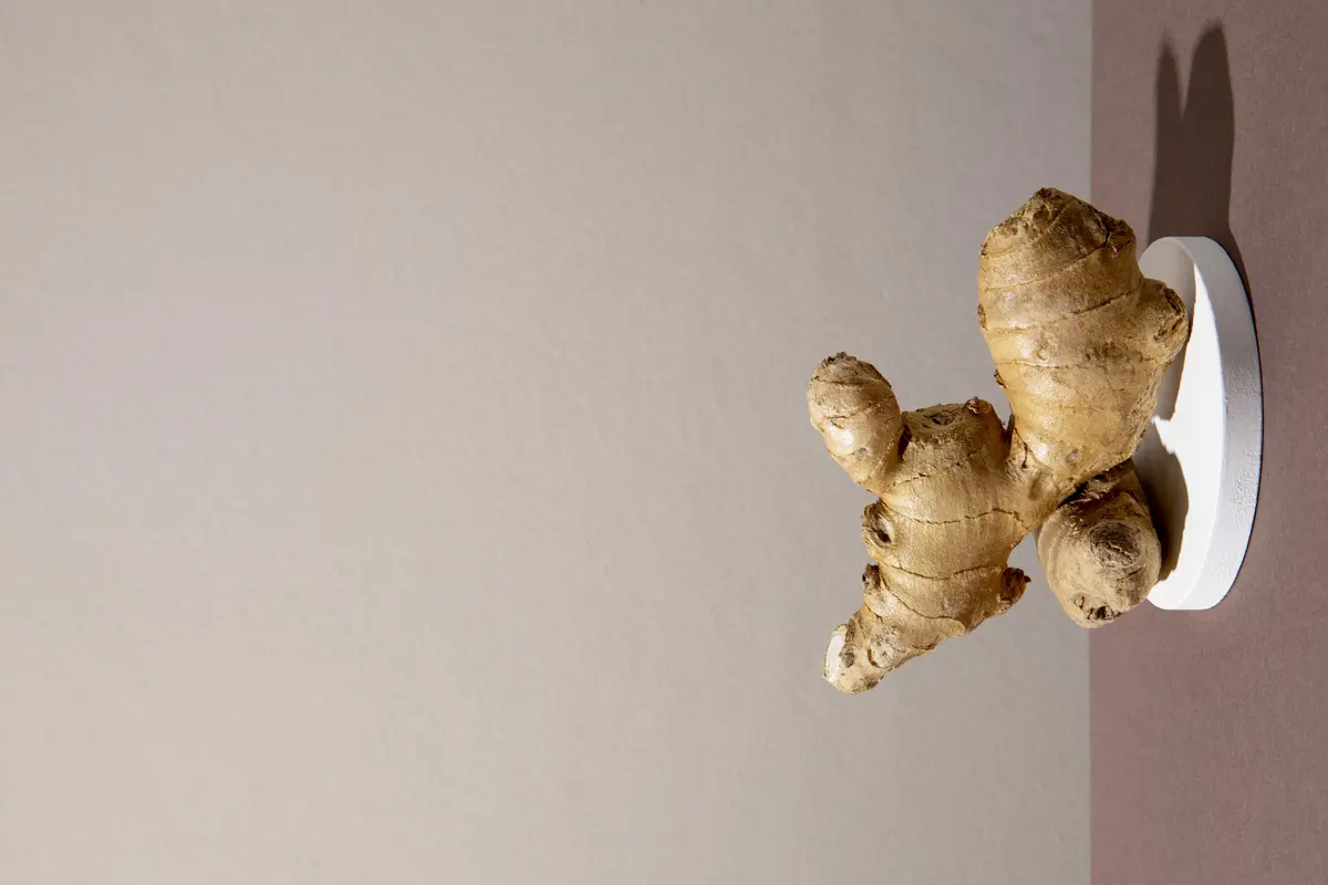 Jahe Emprit, Potensi Herbal Nusantara yang Kecil tapi Pedasnya Paling Kuat