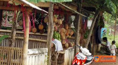 Citizen6, Wonosalam: Selain cokelat ternyata durian juga tumbuh subur di Wonosalam. Bahkan setiap 2-5 Februari selalu diadakan pesta di lapangan samping kantor Kecamatan Wonosalam. (Pengirim: Umi Khofsoh)