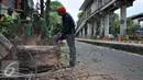 Petugas Dinas Pertamanan Jakarta Timur memotong pohon tua beresiko tumbang di kawasan Jatinegara, Jaktim, Selasa (5/1/2016). Antisipasi pohon tumbang di musim penghujan, Dinas Pertamanan pangkas pohon beresiko tumbang. (Liputan6.com/Yoppy Renato)