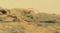 Lagi-lagi NASA menemukan keunikan dari planet Mars. Kali ini NASA menemukan sebuah bongkahan batu yang bentuknya mirip seperti patung Budha.