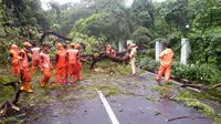 Pohon tumbang di Jalan Tebet Timur Raya, Jakarta Selatan, Senin (10/12/2018). (Twitter TMC Polda Metro Jaya)