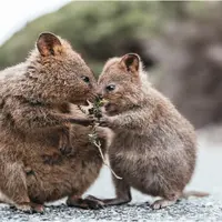 Tourism Western Australia. Foto: Document/Tourism Western Australia.