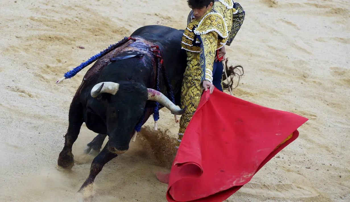 Seorang matador menghindar dari tandukan banteng di Festival San Fermin, Pamplona, Spanyol, Rabu (8/7/2015). Aksi pertarungan antara Matador dengan banteng menjadi salah satu aksi yang ditunggu di Festival ini. (Reuters/Vincent West)