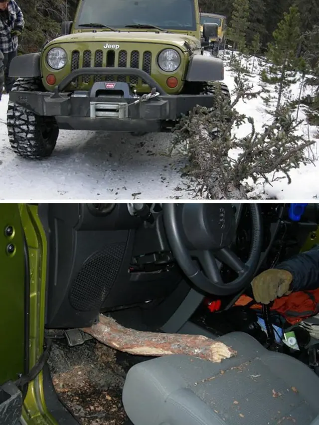 [Bintang] Mukjizat Itu Nyata, 10 Foto Ini Bikin Kamu Nggak Percaya dan Merinding Sendiri Lihatnya!