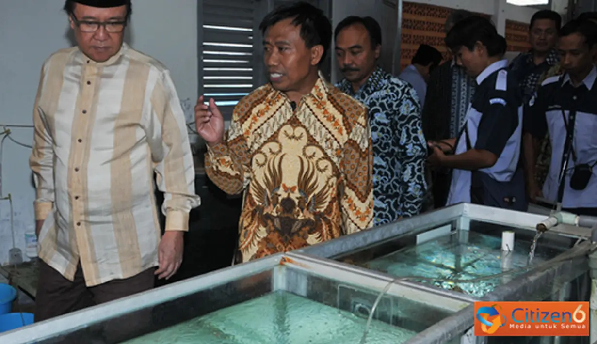 Citizen6, Lampung: MKP Sharif C Sutardjo didampingi Kep.BBL Lampung dan Dirjen Perikanan Budidaya meninjau ruangan Crow fish di BBL Lampung. (Pengirim: Efrimal Bahri)