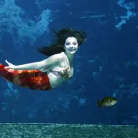 Sebuah video bikin bulu kuduk kamu merinding terlihat dari Laut Israel. Puteri duyung diklaim nyata dan eksis!