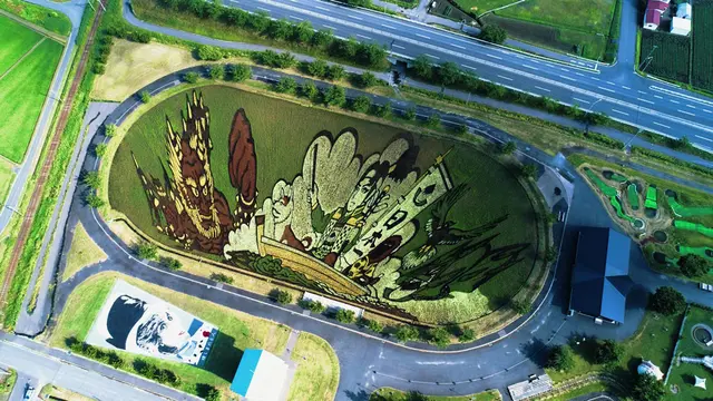 Petani Jepang Ini Tanam Padi Khusus untuk Ciptakan Sawah Warna-warni, 4 Hasilnya Bikin Takjub