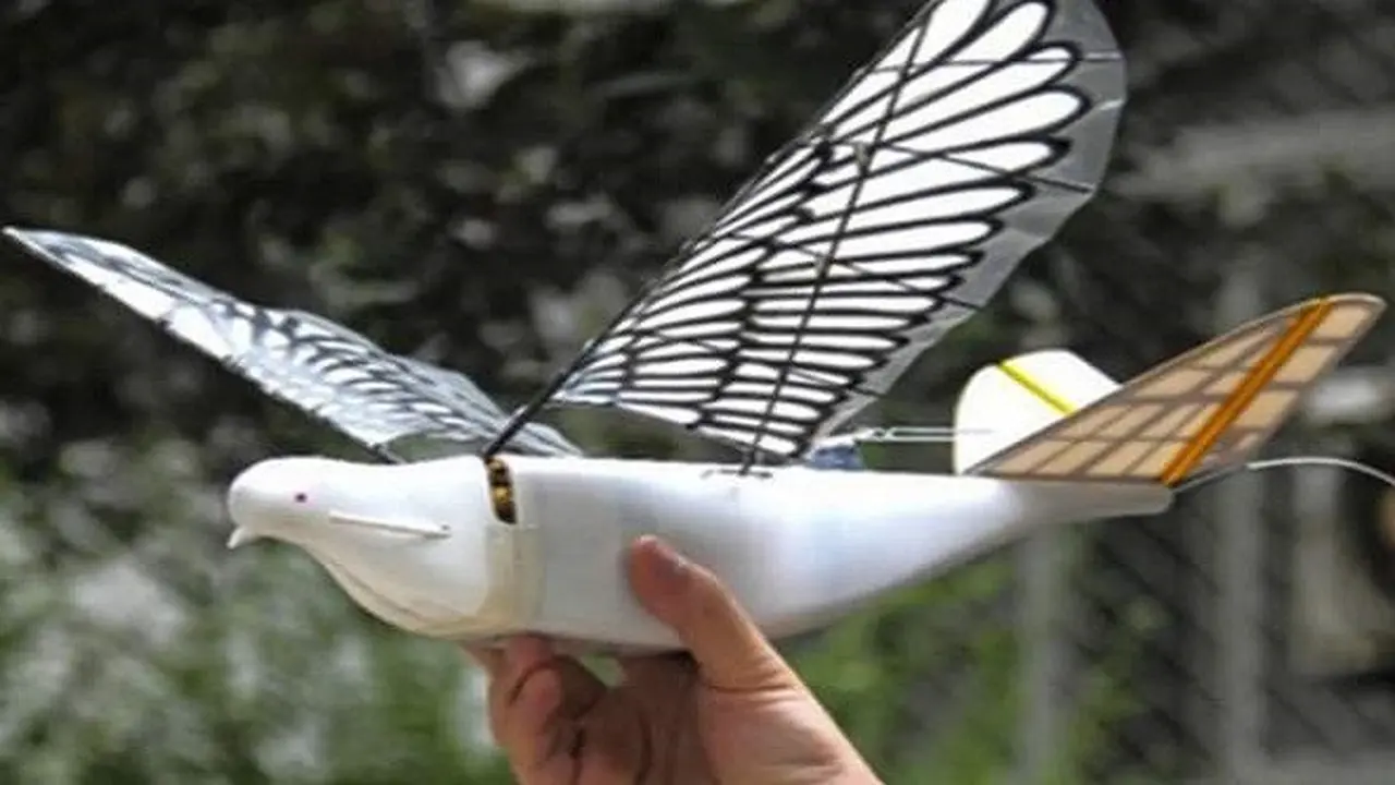 Drone