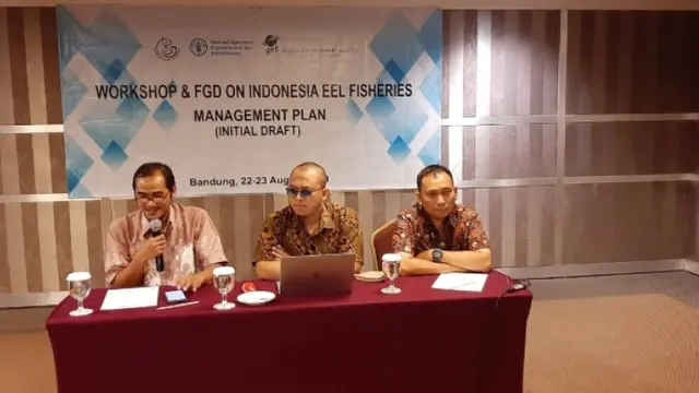 Ikan Sidat