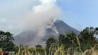 Nama 11 Korban Tewas Awan Panas Gunung Sinabung
