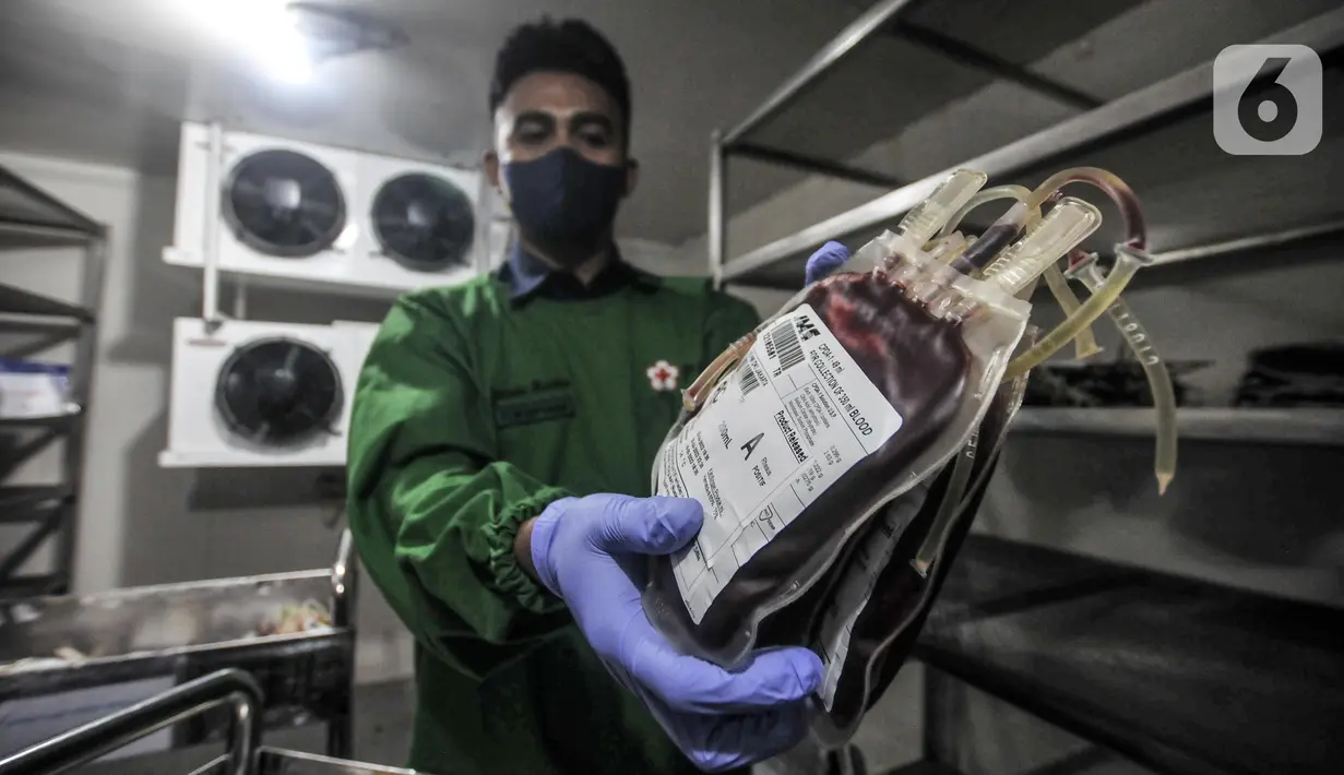 <p>Petugas menunjukkan kantong darah di Palang Merah Indonesia (PMI) DKI Jakarta, Jakarta, Selasa (26/4/2022). Saat ini PMI DKI Jakarta memacu ketersediaan darah dengan layanan jemput bola melalui mobil pelayanan donor darah keliling. (merdeka.com/Iqbal S. Nugroho)</p>