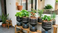 6 Inspirasi Kebun Sayur Mini dari Galon Bekas untuk Teras Rumah, Hemat Tempat dan Mudah Dibuat
