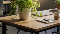 10 Pilihan Tanaman Hias untuk Meja Kerja agar Betah di Kantor dan Lebih Produktif