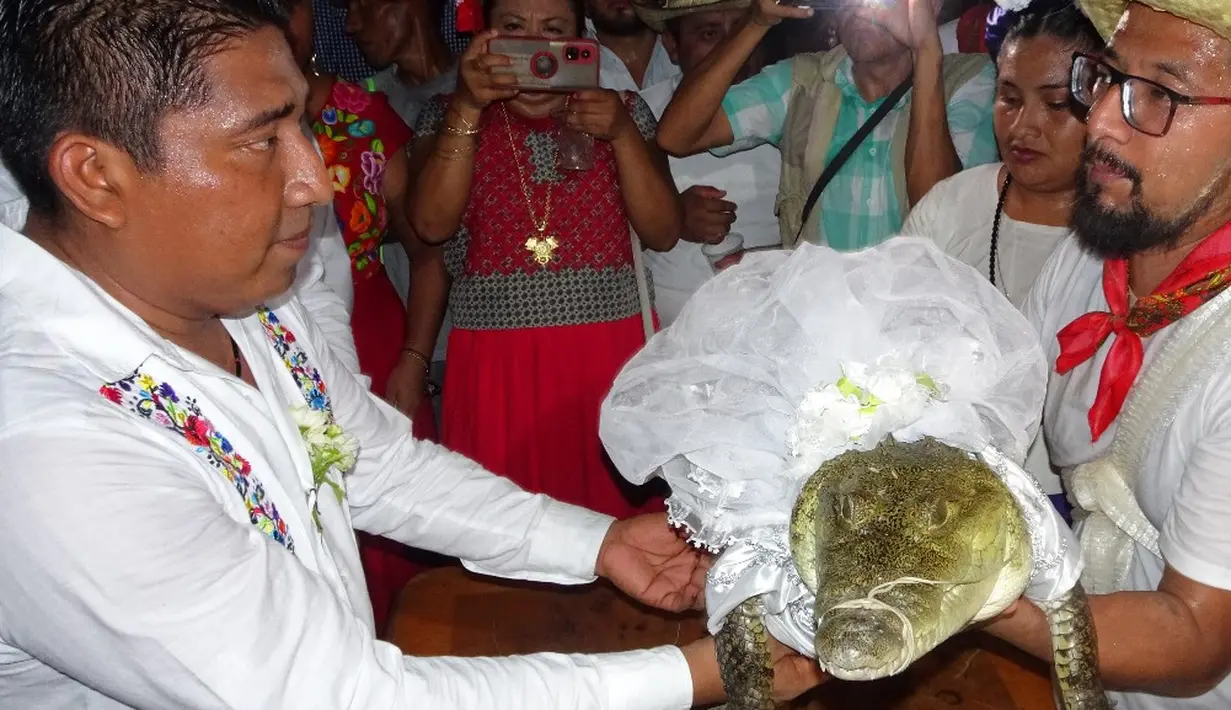 <p>Buaya diarak keliling masyarakat sebelum didandani sebagai pengantin dan dinikahi Wali Kota San Pedro Huamelula. (RUSVEL RASGADO/AFP)</p>