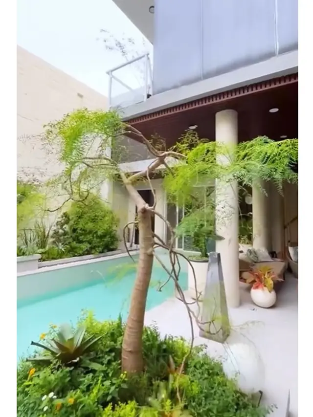 9 Potret Taman Belakang Rumah Rossa Usai Renovasi, Desain Modern Tropis yang Memukau