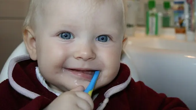 Foto: copyright pixabay.com