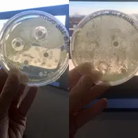 Seorang ibu membandingkan kehebatan ASI dan susu formula. (Sumber Foto: Jessicca Wilson)