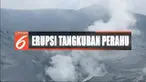 Ratusan petugas gabungan bersihkan abu vulkanik di wisata Gunung Tangkuban Perahu pascaerupsi.