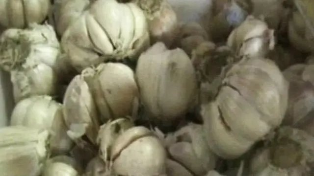 Tak Berijin Impor, Ratusan Kontainer Bawang Terbengkalai