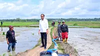 Presiden Jokowi meninjau langsung pelaksanaan pemberian bantuan 300 unit pompa untuk pengairan sawah dan pertanian (pompanisasi) di Desa Jaling, Kabupaten Bone, Sulawesi Selatan. (Foto: Muchlis Jr - Biro Pers Sekretariat Presiden)