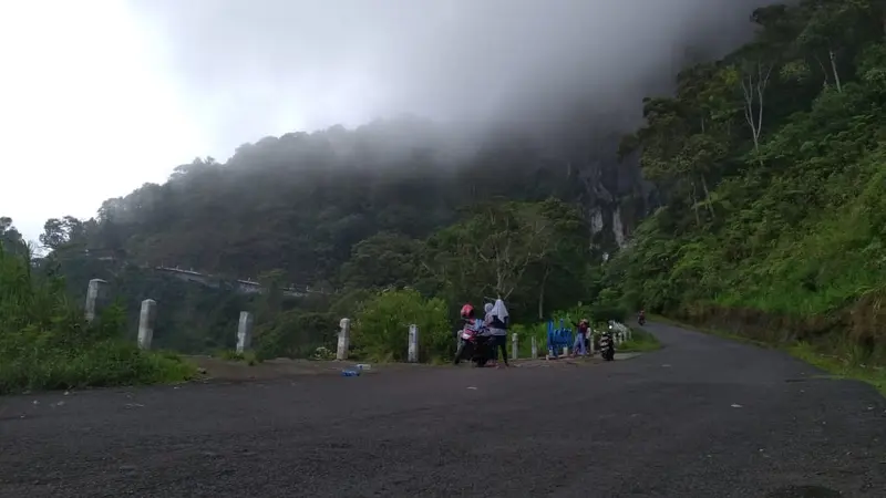 Kabut di kaki Gunung Wilis