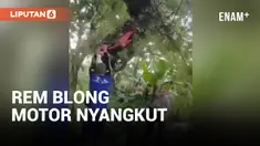 AKIBAT REM BLONG, DUA WISATAWAN TERPENTAL DAN MOTOR NYANGKUT DIATAS POHON