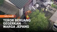 Warga Ketakutan, Beruang Masuk Permukiman Hingga Kampus di Jepang