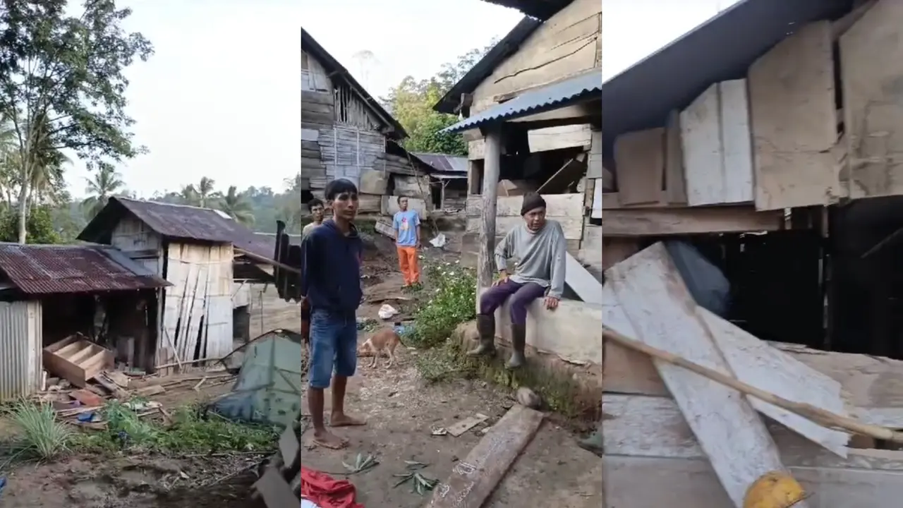 Tangkapan layar kondisi gubuk warga rusak usai diserang kawanan gajah liar di Tanggamus, Lampung. Foto : (Istimewa).