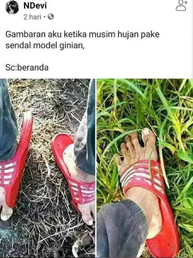6 Momen Apes Jalan Kaki ketika Hujan Bikin Elus Dada, Jadi Basah Kuyup