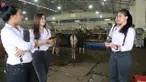 Di tempat ini, anda akan mendapat sensasi berbeda saat membeli hewan kurban dibanding tempat lain.