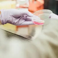 Ilustrasi stem cell (Photo by Drew Hays on Unsplash)