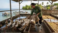 Inovasi Kandang Bebek, Ubah Sampah Organik jadi Pakan Ternak di Kepulauan Seribu