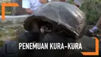 Seekor kura-kura betina dari spesies yang diyakini punah telah ditemukan di kepulauan Galapagos, Ekuador. Kura-kura tersebut diperkirakan berusia lebih dari 100 tahun.