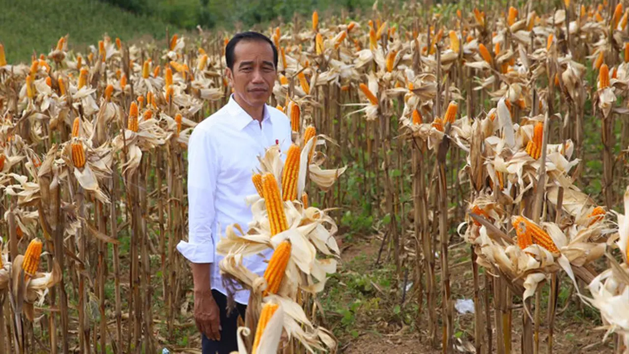 Presiden Jokowi