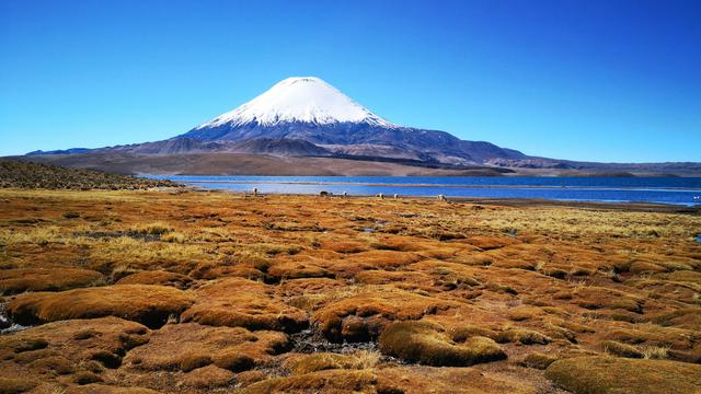Lauca National Park