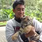 Bayi harimau benggala imut itu dilahirkan di Kebun Binatang Bandung (Bonbin Bandung). Ia kini diasuh orangtua asuh yang berstatus mahasiswa. (Liputan6.com/Huyogo Simbolon)