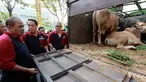 Ketua Umum Artha Graha Peduli (AGP) Heka Hertanto, Ketua Panitia Idul Adha AGP Panji Parmadi Aji, Senior AGP Ronny Bratawijaya, Senior AGP Teuku Ashikin Husein, Direktur BAGI Indra S. Budianto melepas distribusi hewan kurban AGP di kawasan SCBD, Jakarta, Sabtu (10/8/2019). (Liputan6.com/HO/Rizky)