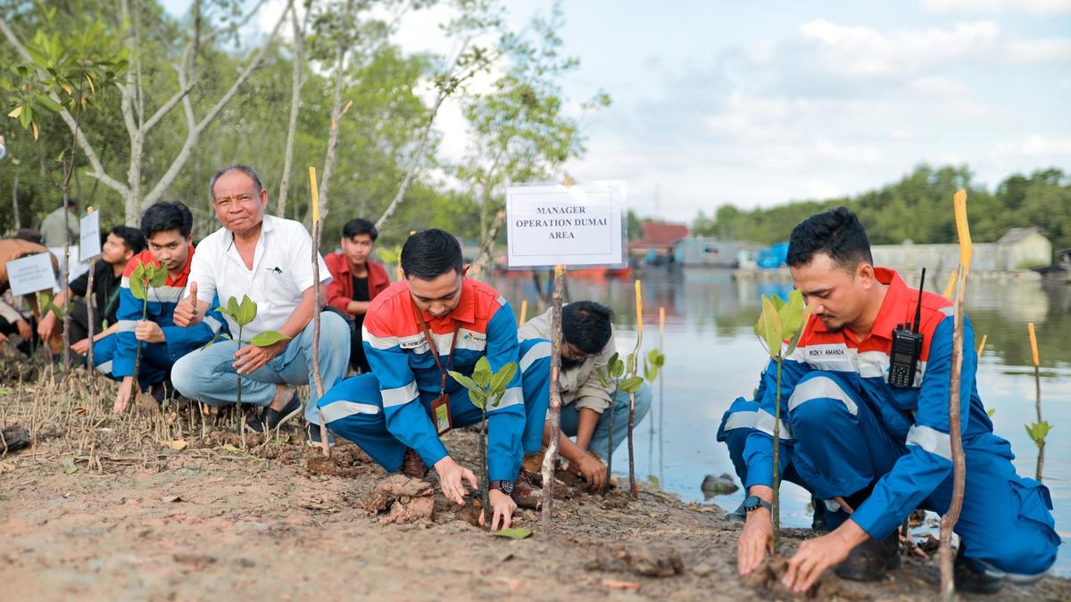 Pertamina Perkuat Program Hutan Lestari untuk NZE 2060 Sekaligus Peringati Hari Hutan Sedunia