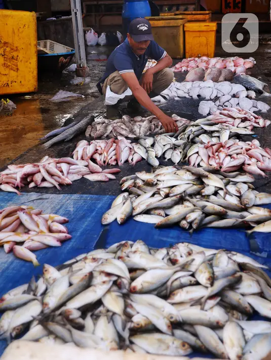 Suasana pasar ikan di Kamal Muara, Jakarta, Jumat (15/4/2022). Pasokan ikan dipastikan aman untuk kebutuhan selama Ramadhan 1443 Hijriah dan Hari Raya Idul Fitri, dengan perkiraan ketersediaan ikan tangkapan dan budidaya April dan Mei 2022 sebesar 2,99 juta ton. (Liputan6.com/Angga Yuniar)