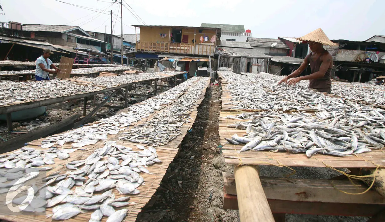 Sejumlah nelayan menjemur ikan di Muara Angke, Jakarta, Selasa (17/1). Kadin Indonesia menginginkan perbankan bisa memperbesar fasilitas pembiayaan seperti dalam bentuk kredit untuk investasi sektor kelautan di Indonesia. (Liputan6.com/Angga Yuniar)