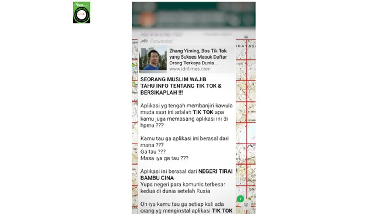 potongan gambar klaim pendapatan Tik Tok