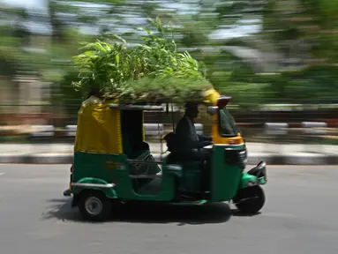 Pengemudi bajaj Mahender Kumar mengendarai kendaraan dengan 'taman' di atapnya, di New Delhi, India pada 2 Mei 2022. Bajaj kuning dan hijau ada di mana-mana di jalan-jalan New Delhi tetapi kendaraan Mahendra Kumar sangat menonjol -- ia memiliki taman di atapnya bertujuan untuk menjaga penumpang tetap sejuk selama musim panas yang menyengat. (Money SHARMA / AFP)