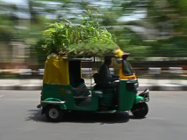 Pengemudi bajaj Mahender Kumar mengendarai kendaraan dengan 'taman' di atapnya, di New Delhi, India pada 2 Mei 2022. Bajaj kuning dan hijau ada di mana-mana di jalan-jalan New Delhi tetapi kendaraan Mahendra Kumar sangat menonjol -- ia memiliki taman di atapnya bertujuan untuk menjaga penumpang tetap sejuk selama musim panas yang menyengat. (Money SHARMA / AFP)