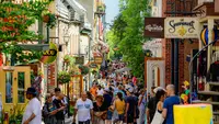 12 Best Places to Visit in Canada in 2026 According to TripAdvisor