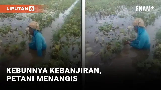 Petani Nangis Kebunnya Kebanjiran