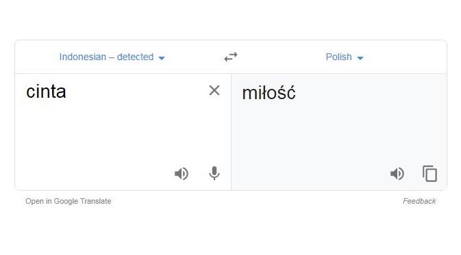 Terjemahan Kocak di Google Translate Ini Bikin Emosi (sumber:1cak.com)